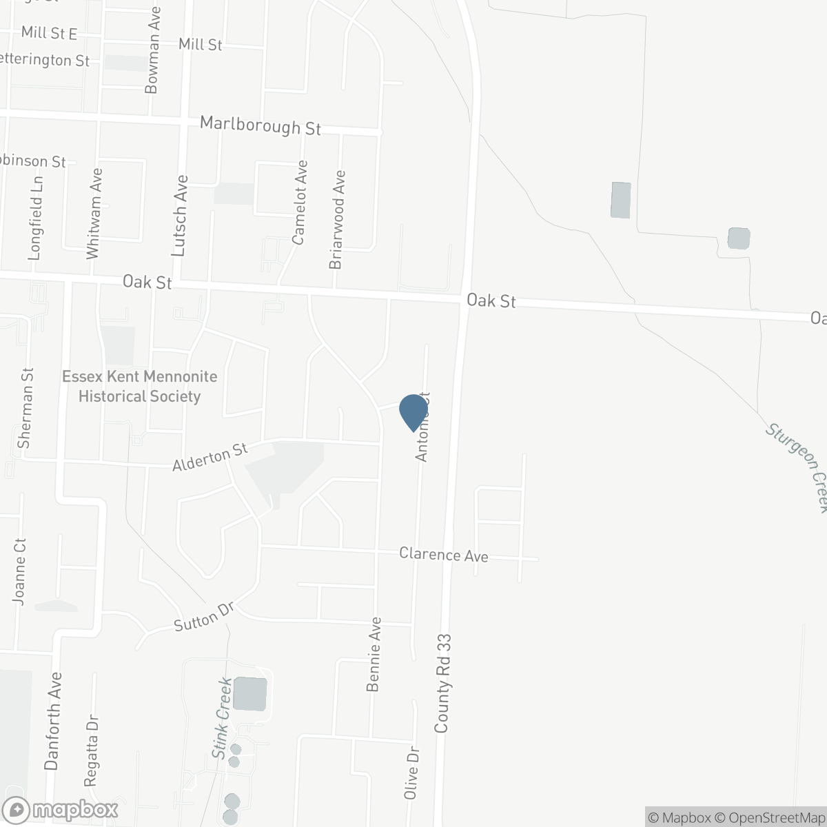 37 ANTONIO COURT, Leamington, Ontario N8H 5P8